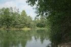Treetops right margin