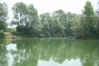 Left of Boat Swim