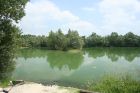 Left of Bench Swim