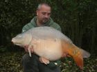 Caught by Steve Knott from Bills Lake 1