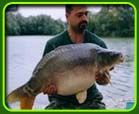 Caught by Martin Knott from Bills Lake 1
