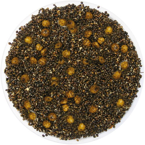 Prepared Hemp & Mixed Tiger Nuts