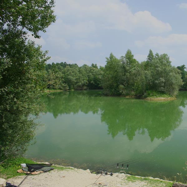 Drive and survive carp fishing in France at Bill's Lakes