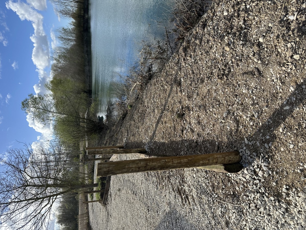 Bills Lake 4
