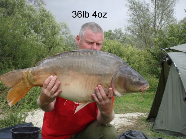 <span class=bold>36</span>lb <span class=bold>4</span>oz